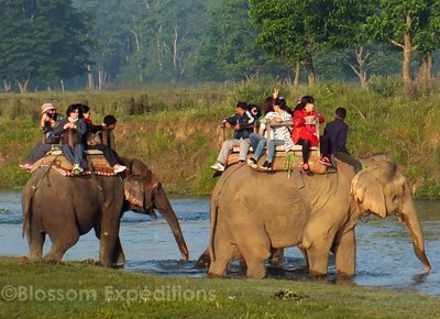 Chitwan Jungle Safari 3 nights 4 days