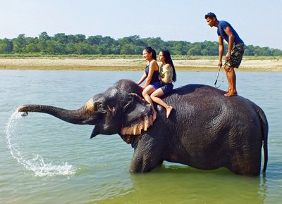 Chitwan Jungle Safari 2 nights 3 days