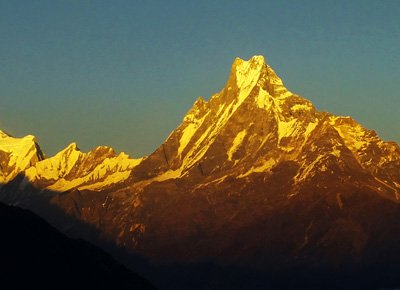 Ghorepani Rhododendron Trek