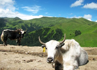 Lower Dolpo Trekking